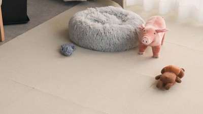 🐾 댕냥이 슬개골 지킴이! 딩동펫 미끄럼방지 솔직 후기 & 할인 꿀팁 🍯